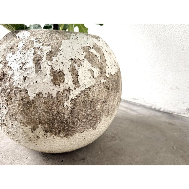 Spherical Planter Made of Fiber Cement, DLG Willy Guhl, 1960s For Sale - Image 6 of 9