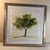 Contemporary Set of 6 Contemporary Minimalist "Tree Wash Series 1-6" Watercolor & Ink Framed Painting – 22" Sq For Sale - Image 3 of 8