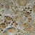 Jamie Young Lava Table Lamp, Volcanic Cream For Sale - Image 4 of 6