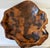 1980s Mid-Century Modern Frank Treuting Beautiful Large Carved Burl Wood Bowl Fully Signed For Sale In Palm Springs - Image 6 of 7