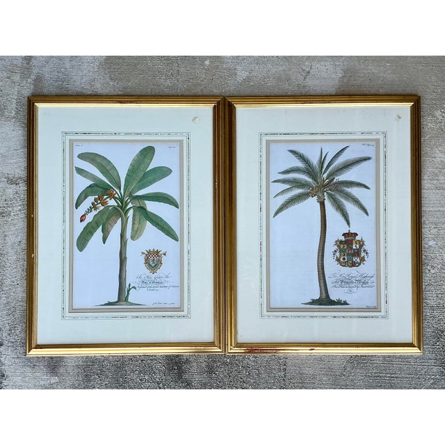Vintage Crested Palm Etchings - A Pair For Sale In West Palm - Image 6 of 12