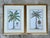 Vintage Crested Palm Etchings - A Pair For Sale In West Palm - Image 6 of 12