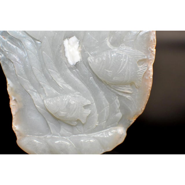 Agate Fish For Sale - Image 10 of 11