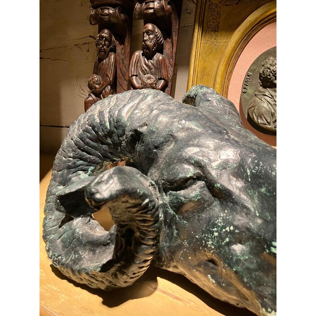 Vintage Patinated Plaster Rams Head Sculpture in the Neoclassical Taste For Sale - Image 5 of 11