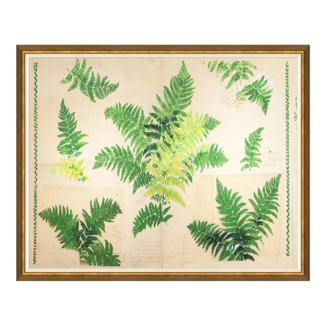Fern Art Print in Gold Frame by Paule Marrot For Sale