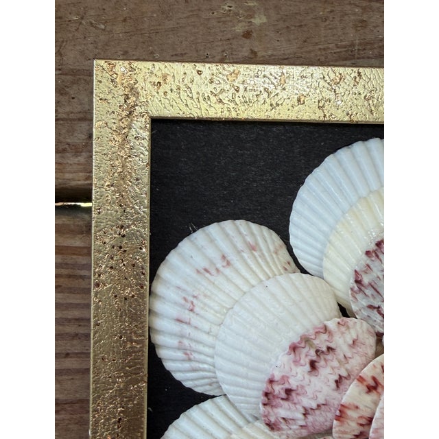 Dark Pink Custom Framed Seashell Wall Art in the Manner of a Sailor’s Valentine For Sale - Image 8 of 12