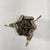 1960s Mid-Century Modern Brass Lotus Flower Ashtray / Catchall For Sale - Image 9 of 13