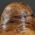 Brown Vintage Abstract Organic Modern Burl Wood Sculpture For Sale - Image 8 of 10