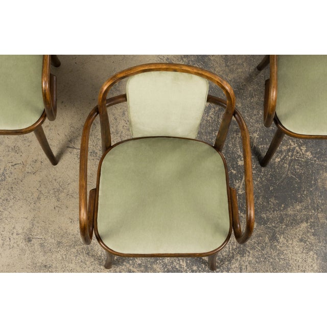 1950s Thonet Bentwood Armchairs in Willow Green Velvet - Set of 6 For Sale - Image 4 of 18