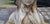Marble Bust from Libero Gremigni, Rome, 1900 For Sale - Image 3 of 14