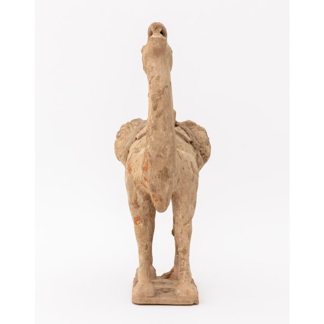 Ceramic Chinese Tang Style Standing Camel Pottery Sculpture For Sale - Image 7 of 11