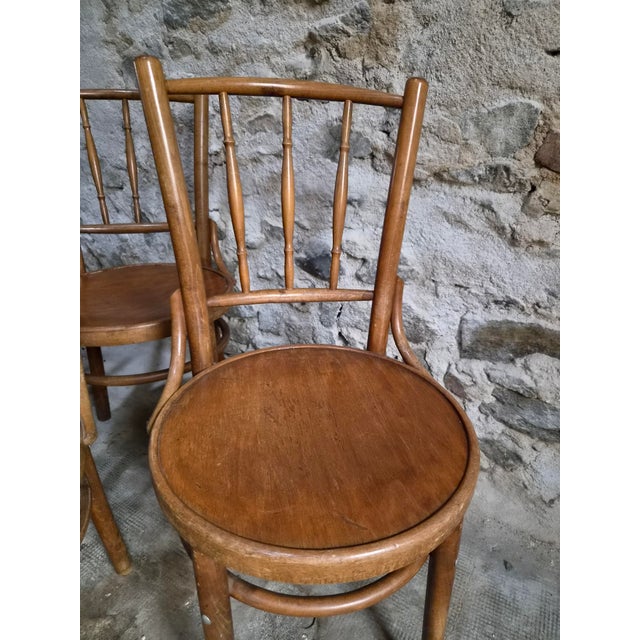 Bentwood Bistro Chairs from Fischel, Former Czechoslovakia, 1930s, Set of 6 For Sale - Image 6 of 18