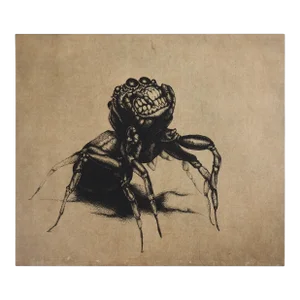 Contemporary Smiling Spider Etching