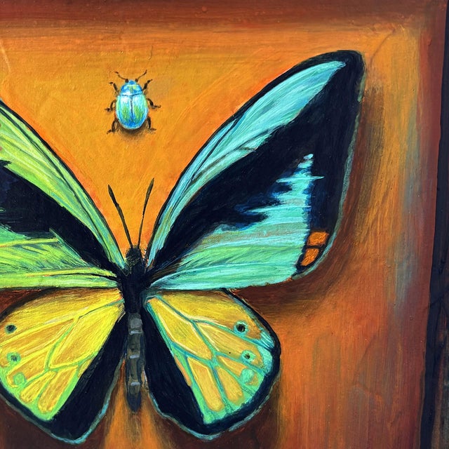 Hybrid Butterfly 66 by Stacy D'Aguiar | Acrylic on wood depicting a colorful butterfly and beetle. For Sale - Image 4 of 5