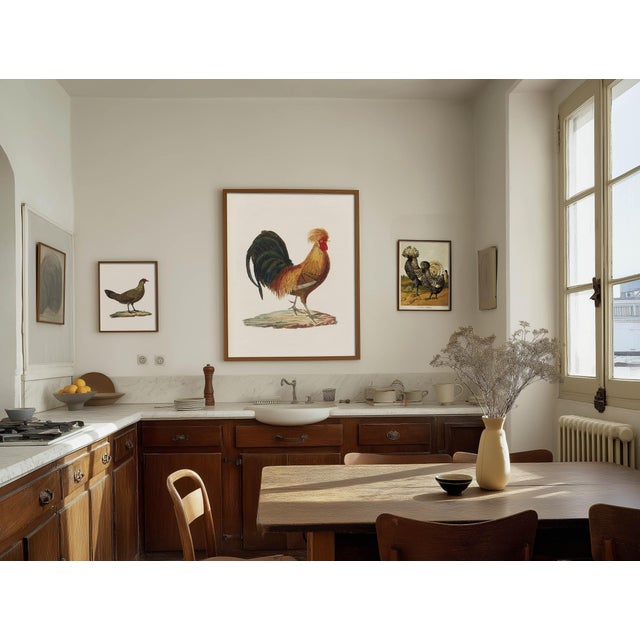 Farmhouse Antique Chicken Farmhouse Print For Sale - Image 3 of 8