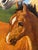 Gilt Framed Oil Painting Grey Mare and Chestnut Foal "Mother and Son" After Henry William Banks Davis Ra For Sale - Image 10 of 18