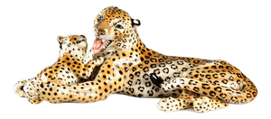 Ceramic Leopard with Cub from Ronzan