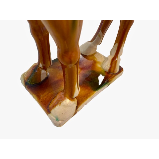 Grand Scale Polychrome Tang Horse Statue For Sale - Image 12 of 12