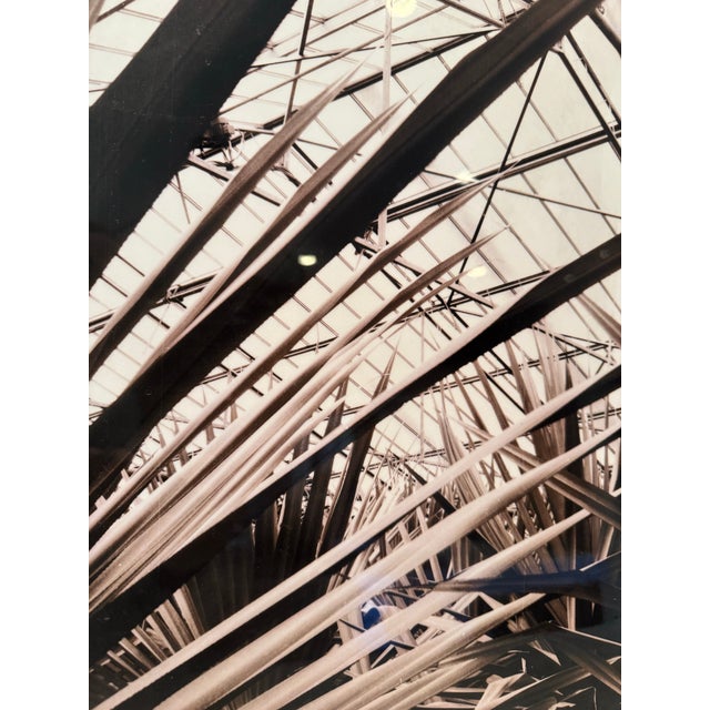 1990s Sepia Toned Photograph Triptych by Guido Orsini For Sale - Image 5 of 10