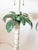 Mid 20th Century Vintage Hollywood Regency Italian Palm Tree Tole Lamps, a Pair For Sale - Image 5 of 16
