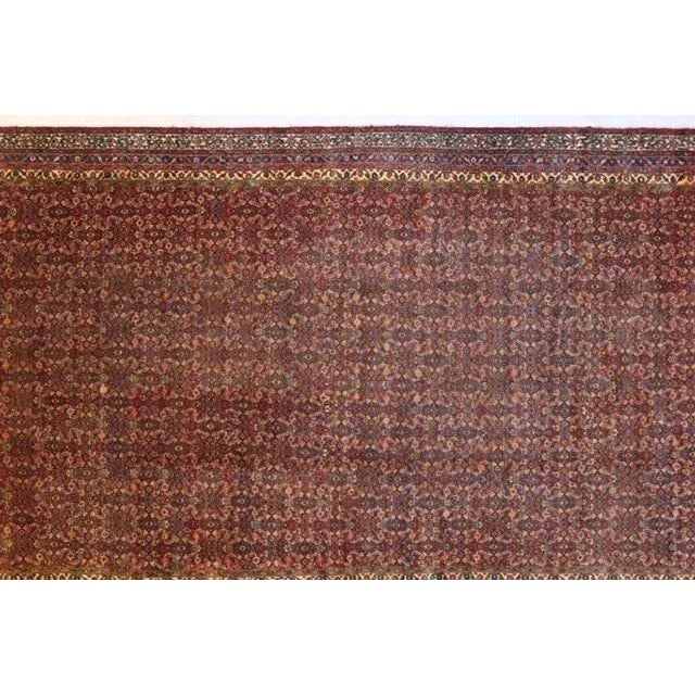 Wool pile genuine hand made antique Persian Hamadan carpet with thick pile-