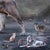 Contemporary The Golden Age by Marcin Owczarek | Photography - Dye Sublimation on Aluminum of a lion with various animals For Sale - Image 3 of 4