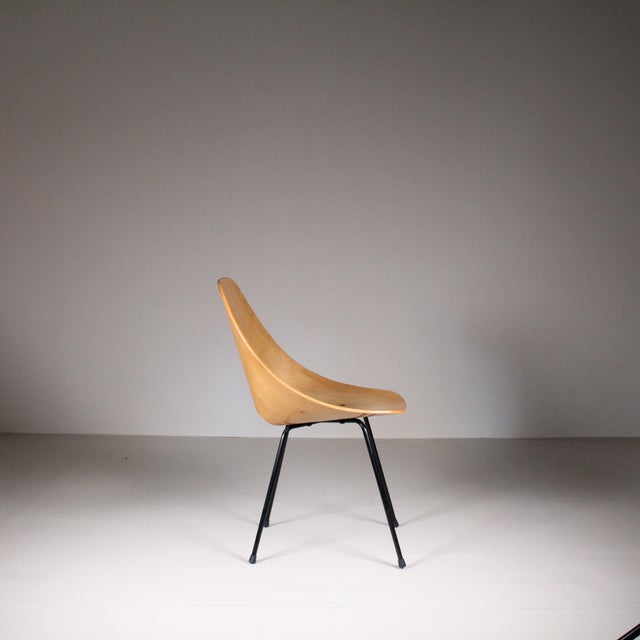 Brown Vintage Medea Chairs by Vittorio Nobili for Fratelli Tagliabue, Set of 3 For Sale - Image 8 of 12