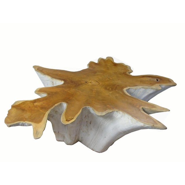 2020s Organic Modern Two-Tone Teak Root Coffee Table For Sale - Image 5 of 7