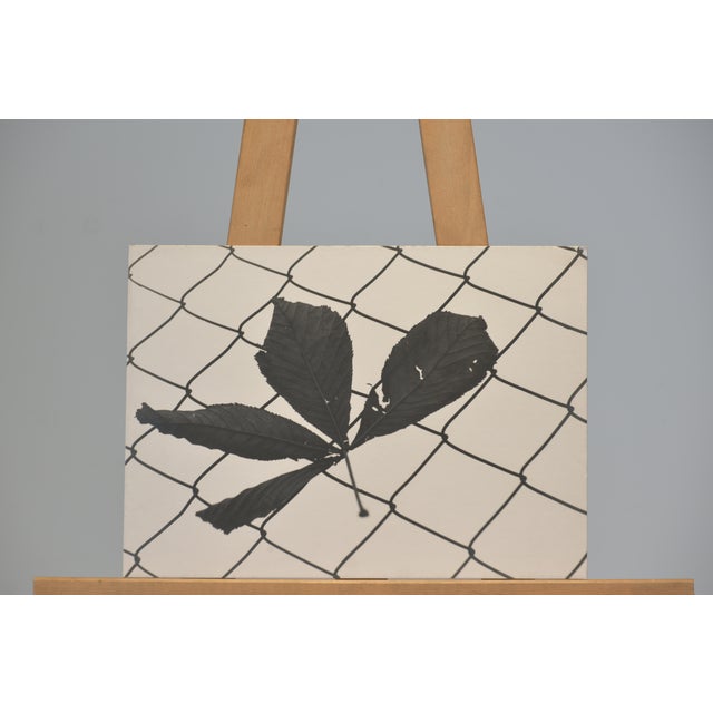 Photo Portfolio Klaus Lange, Stade, 1947/48, Vintage Photography, 11 Pieces For Sale - Image 4 of 15