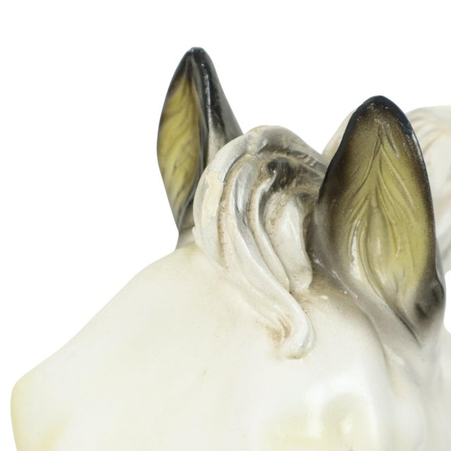 Large Classical Greek Style Parthenon Horse Bust in Plaster For Sale - Image 16 of 17