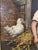 Antique 19th Century Dutch Oil Painting H. J. Burgers For Sale - Image 4 of 9