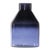 Add a touch of serene coastal charm to your home with this Blue Soda Lime Glass Bottle Vase. Standing 7 inches tall, its...