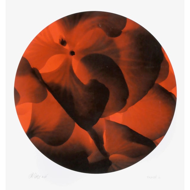 Tondo No. 6 (Red and Black Macro), Jonathan Singer, Print For Sale - Image 4 of 4