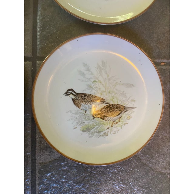 Brown Vintage Andrea by Sadek Wild Game Bird Plates, Japan - Set of 4 For Sale - Image 8 of 11