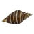 Vintage Murano Style Art Glass Conch Shell Cream Brown Swirl Paperweight For Sale