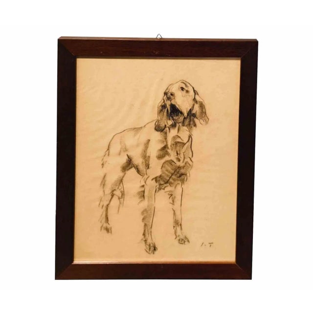 A sculptor of animals, Sirio Tofanari (Florence 1886 – Milan 1969) is not inclined to the school discipline, he decides to...