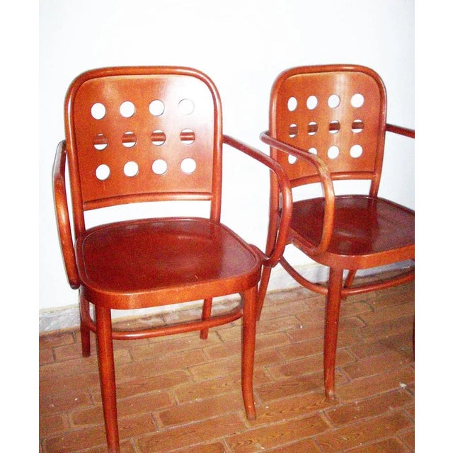 Bauhaus 6010 Armchairs by Josef Hoffmann, 1970, Set of 4 For Sale - Image 3 of 8