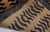 Early 21st Century Modern Tiger Rug by Doris Leslie Blau For Sale - Image 5 of 5
