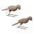 Pair of Italian Carved Wooden Parrots circa 1880, Mounted on Modern Steel Bases For Sale