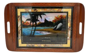 Large Vintage Morpho Butterfly Wings Serving Tray