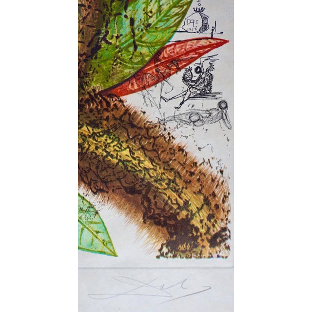 Surrealism 1960s Salvador Dali Vegetation Inedit (Pineapple) For Sale - Image 3 of 4