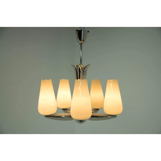 Beautiful blossom-like chandelier by drukov in a perfect condition. Completely restored new nickel-plating rewired - 5 x...