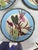 Late 19th Century Rare 19th Century Set of 5 Porcelain Leaves & Birds Plates For Sale - Image 5 of 7