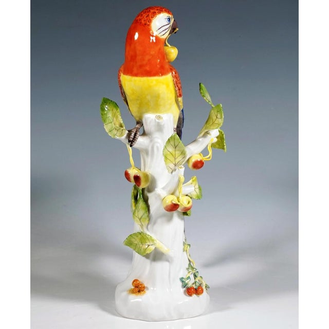 Excellent representation of an exotic bird perched on a tree trunk, its head turned to the side as it holds a cherry in...