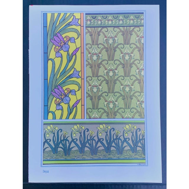 Art Nouveau Floral Botanical Illustration Iris Flower For Sale - Image 4 of 4
