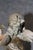 1960's Patinated Winged Putti Sculpture on Marble Base For Sale - Image 10 of 10