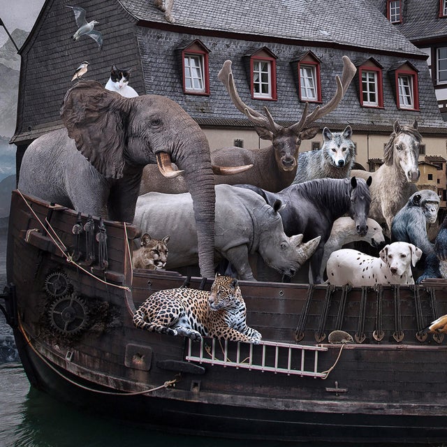 Ark by Marcin Owczarek | Photography - Dye Sublimation on Aluminum of a ship filled with animals For Sale - Image 4 of 5