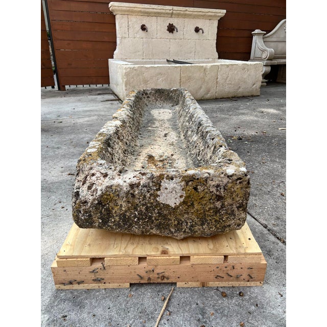 Stone Gray A Long and Low 18th Century Carved Limestone Trough From the South of France For Sale - Image 8 of 13