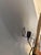 Ingo Maurer Uchiwa Wall Lamps by Ingo Maurer, 1970s, Set of 2 For Sale - Image 4 of 10