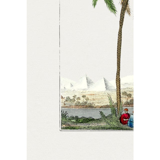Green Vintage Date Palm Tree, Botanical Art Print Reproduction, 20" X 30" For Sale - Image 8 of 9